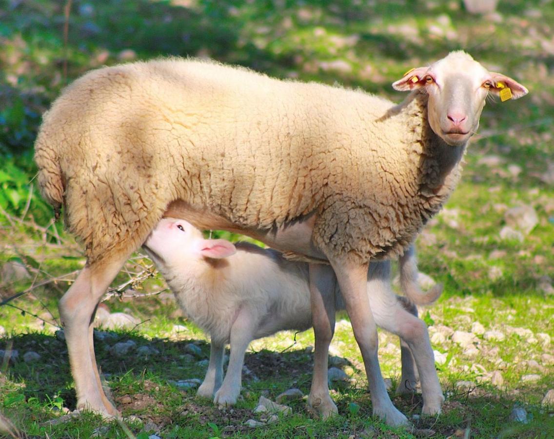 094 Barranc Son Fullos Etv2624 By Mallorca Charme *
